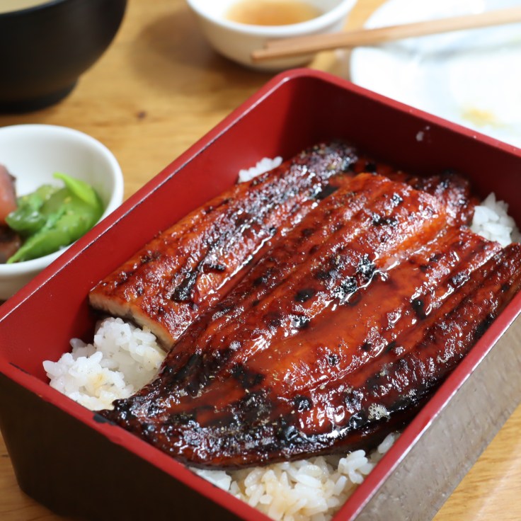 英國倫敦美食》 馳走 Chisou Japanese Food ｜日料腦粉必吃的超正宗日本料理 ｜Dragon mama uk 龍媽媽在英國｜龍三來了